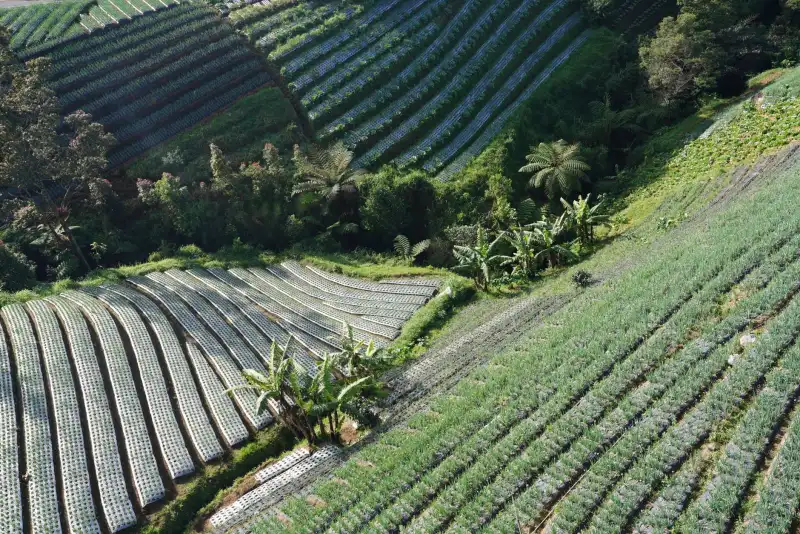 基于固态继电器的高精度延时保护电路设计实例