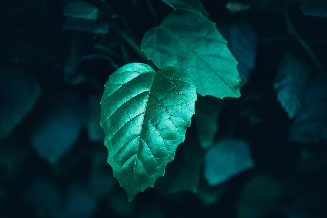 时间继电器延时精度对配电系统保护的影响及优化方案
