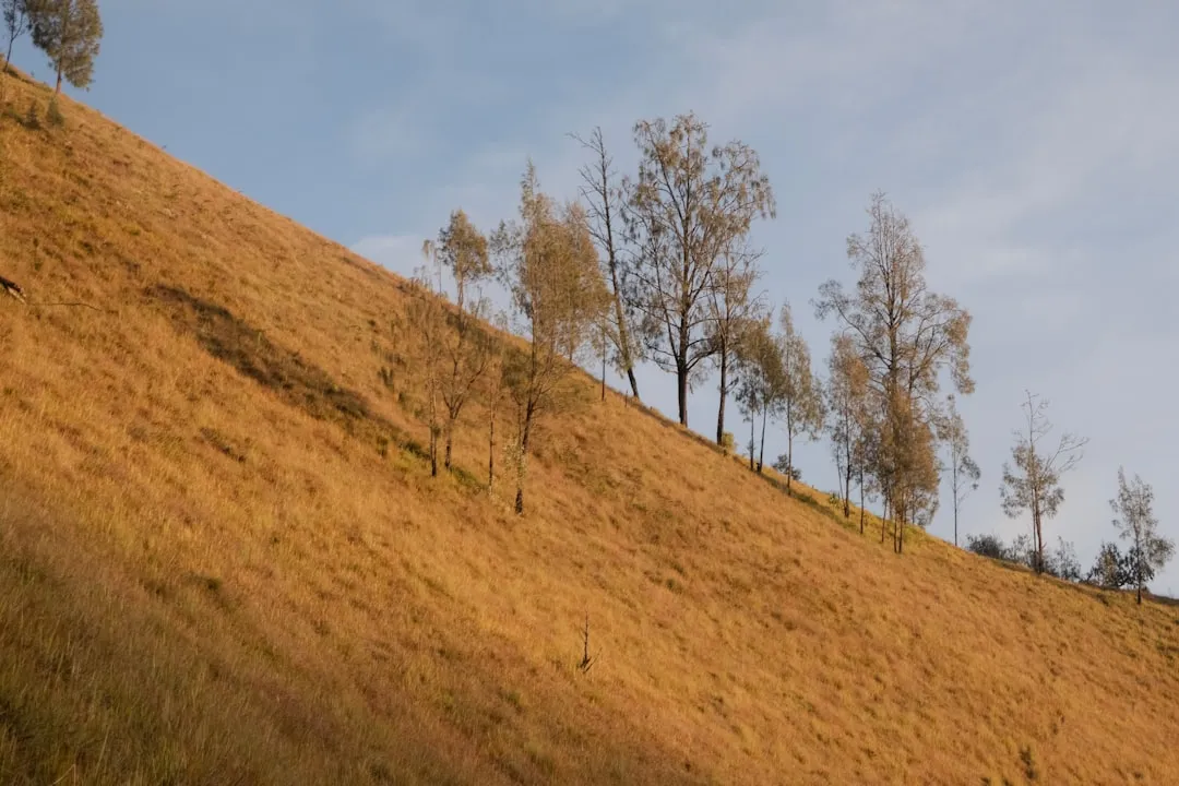 渝中区音迪娱继电器产品系列及技术参数详解